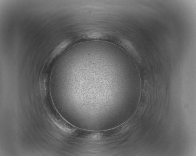 X0000078280116200611101143