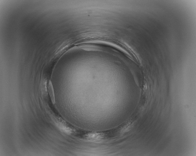 X0000078280117200611101143