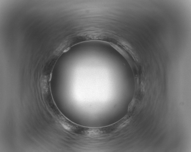 X0000078280121200611101143