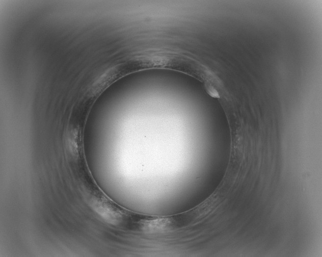 X0000078280122200611101143