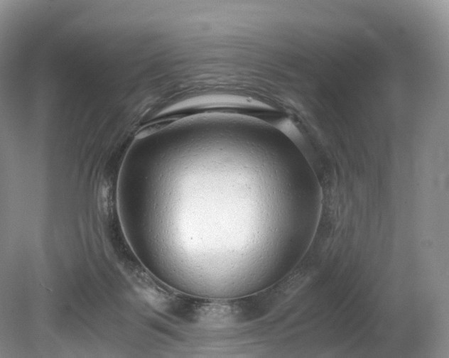 X0000078280123200611101143