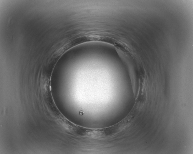 X0000078280125200611101143