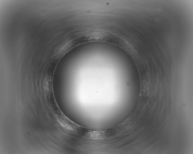 X0000078280126200611101143