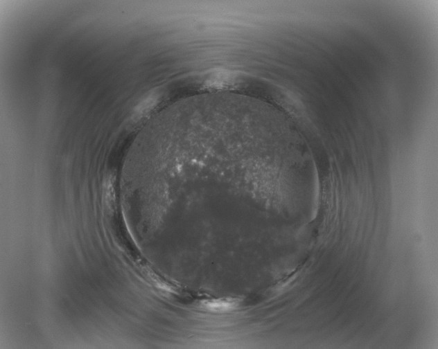 X0000078280127200611101143