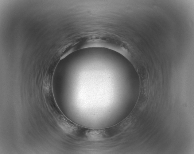 X0000078280129200611101143