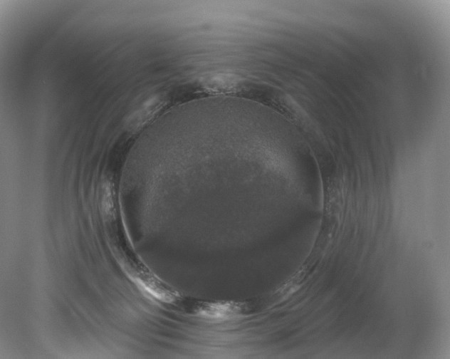 X0000078280130200611101143