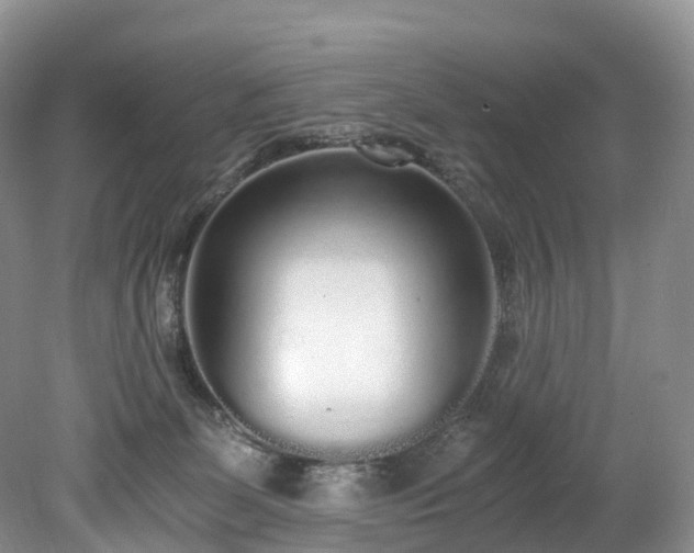 X0000078280131200611101143