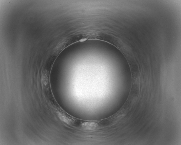 X0000078280133200611101143