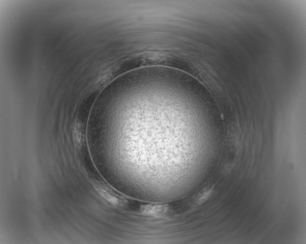 X0000078280135200611101143