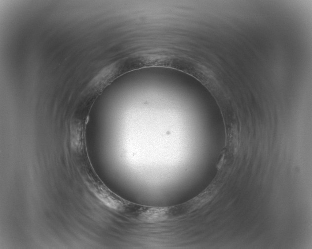 X0000078280138200611101143