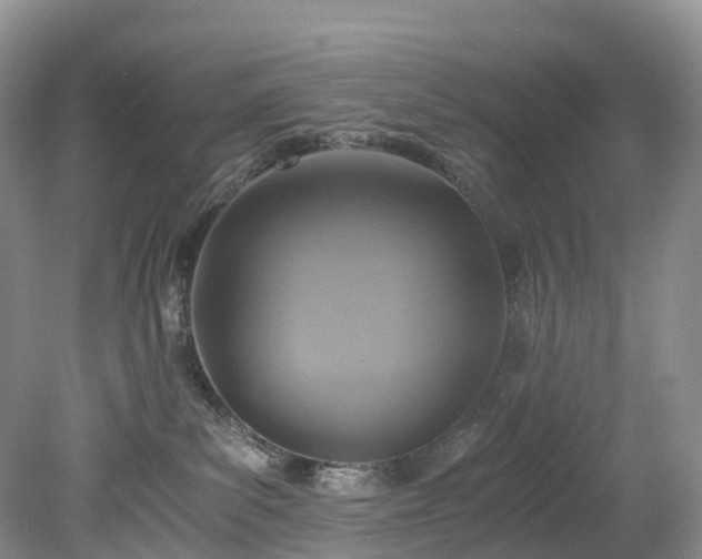 X0000078280139200611101143