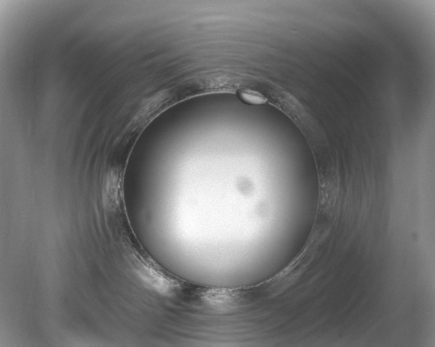 X0000078280142200611101143