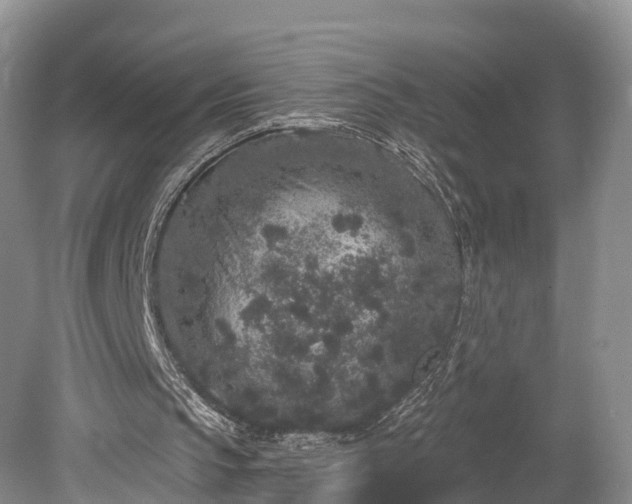 X0000078280145200611101142