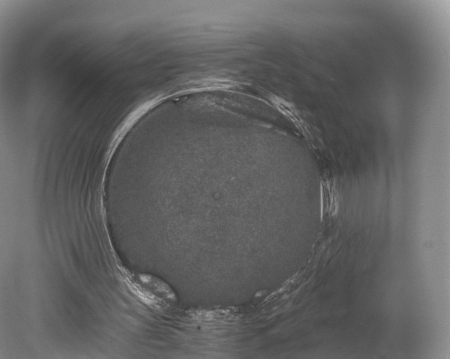 X0000078280147200611101142