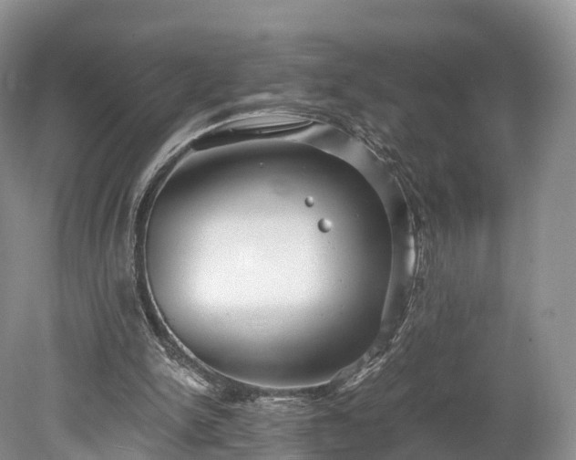 X0000078280150200611101142