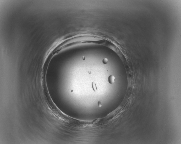 X0000078280152200611101142