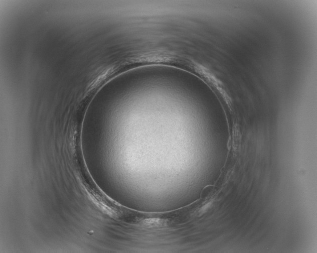 X0000078280153200611101142