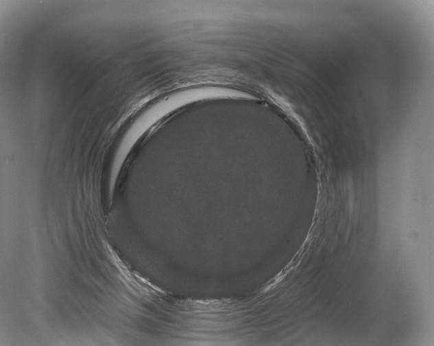 X0000078280154200611101142