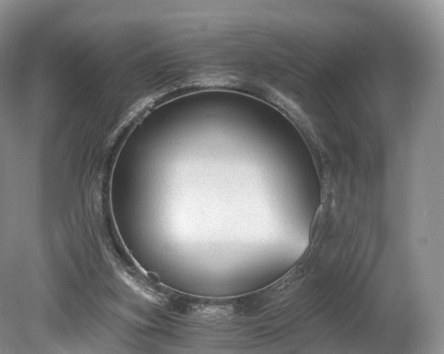 X0000078280155200611101142