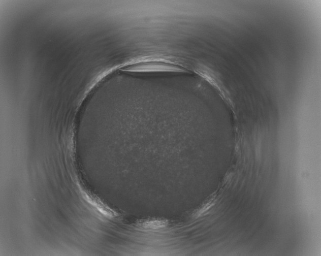 X0000078280156200611101142