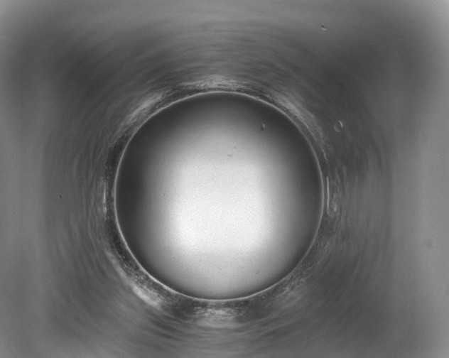 X0000078280157200611101142