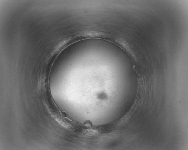 X0000078280159200611101142