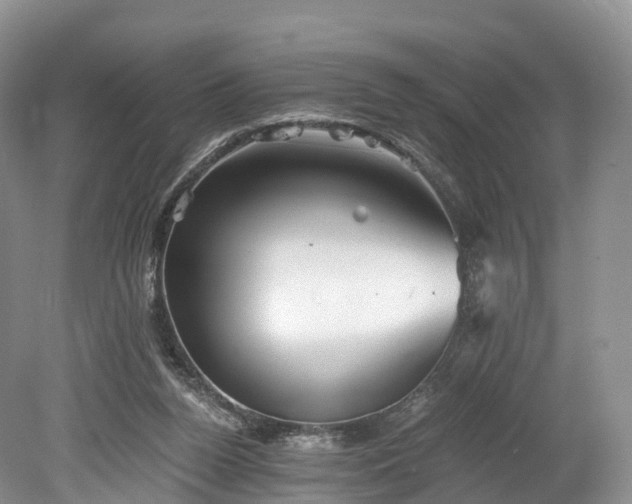 X0000078280160200611101142