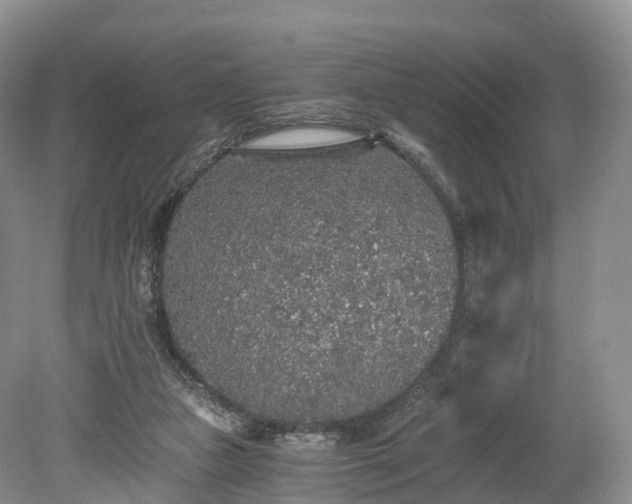 X0000078280161200611101142