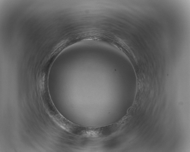 X0000078280163200611101143