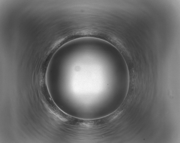 X0000078280164200611101143