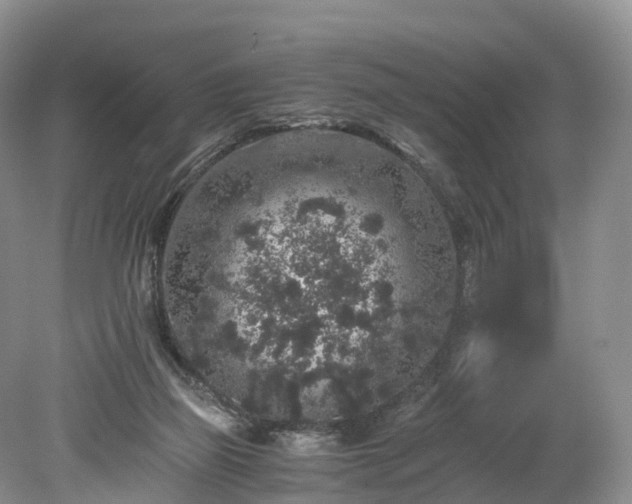 X0000078280165200611101143