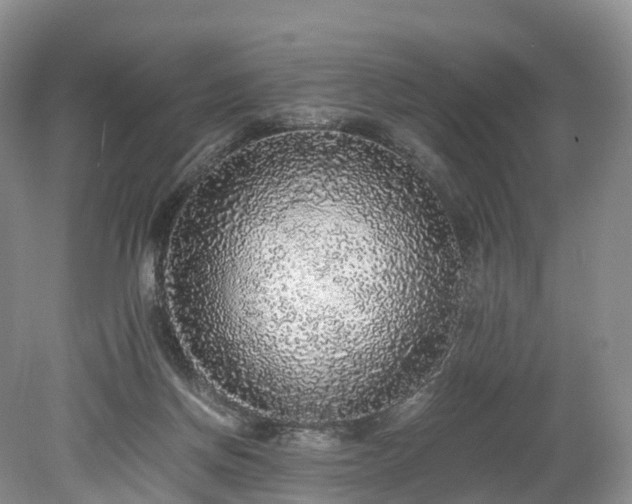 X0000078280166200611101143