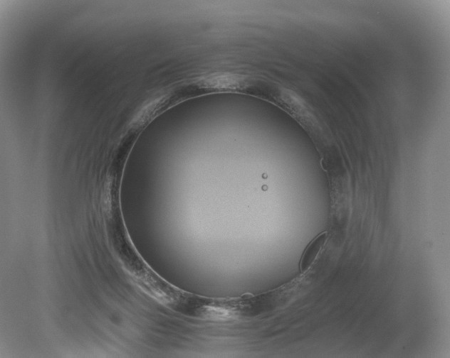 X0000078280167200611101143