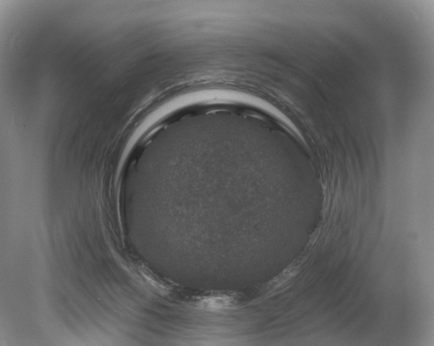 X0000078280168200611101143