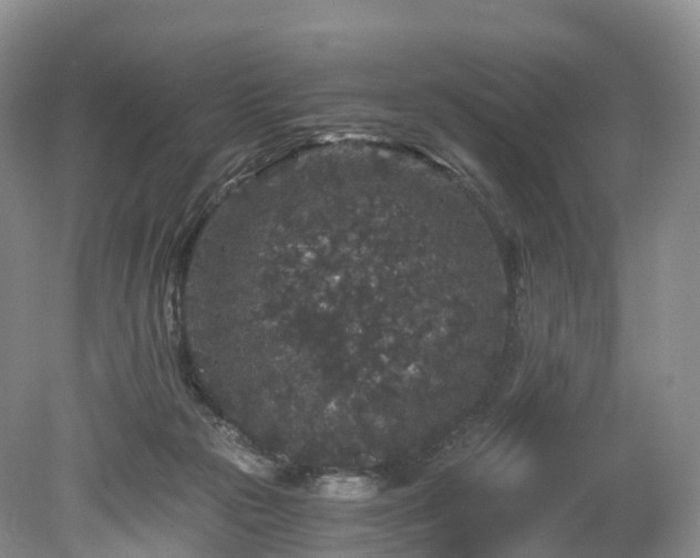 X0000078280169200611101143