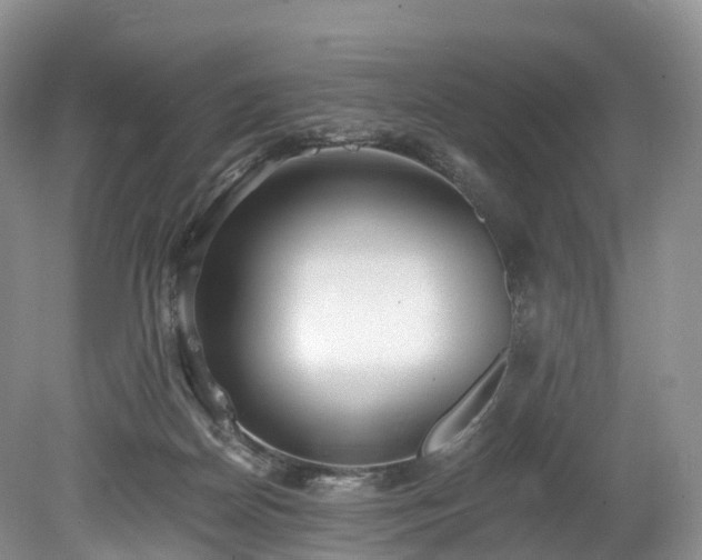 X0000078280170200611101143