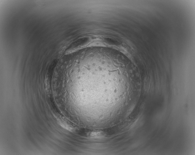 X0000078280173200611101143