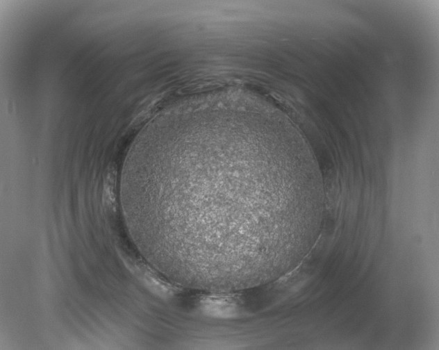 X0000078280175200611101143