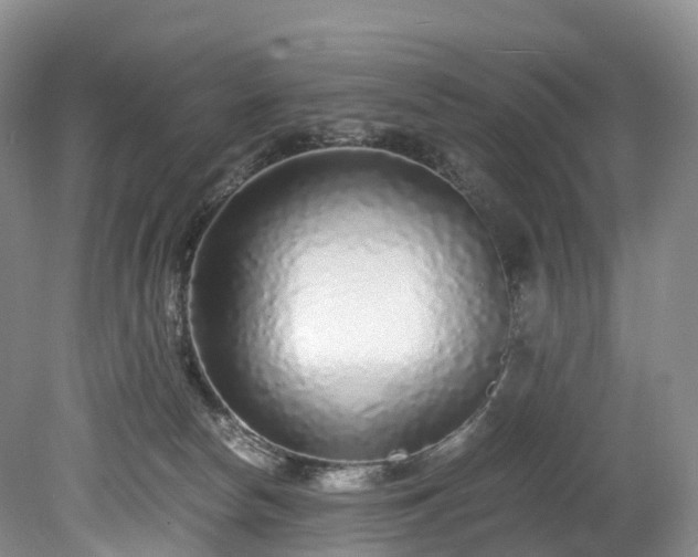 X0000078280178200611101143