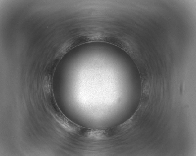 X0000078280179200611101143