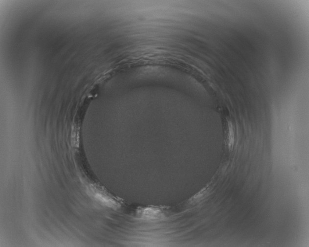 X0000078280180200611101143