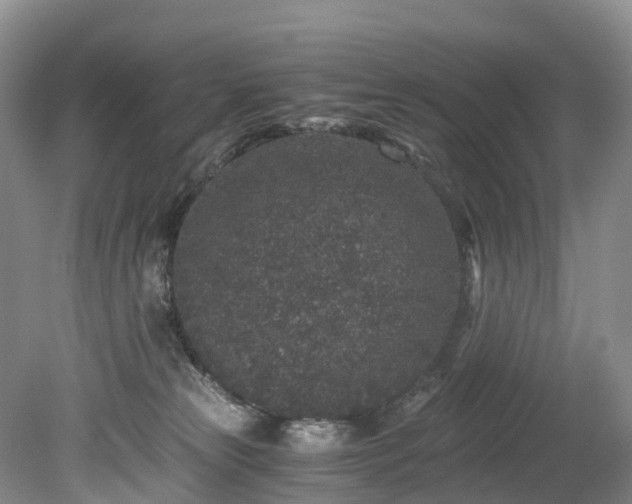 X0000078280181200611101143