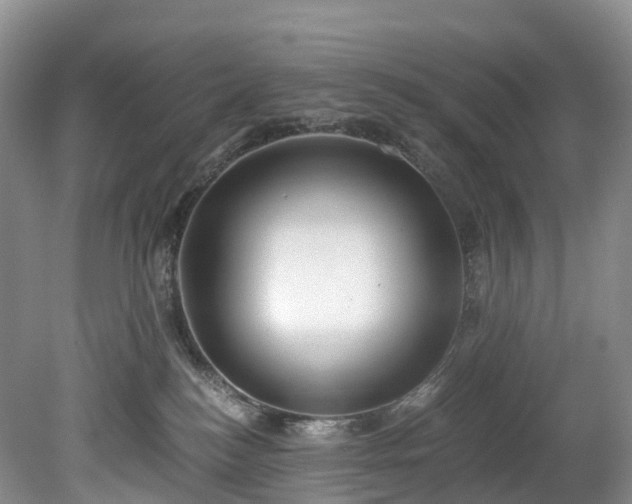 X0000078280184200611101143