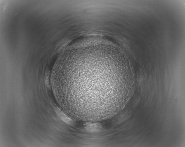 X0000078280185200611101143