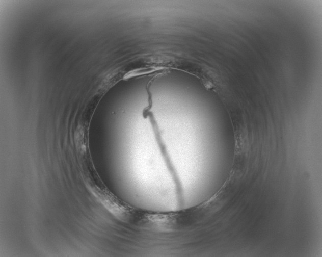 X0000078280187200611101143