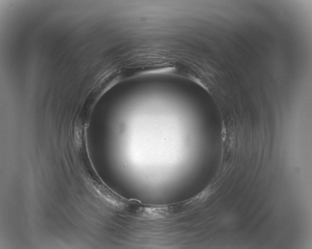 X0000078280188200611101143