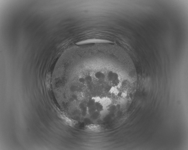 X0000078280189200611101143