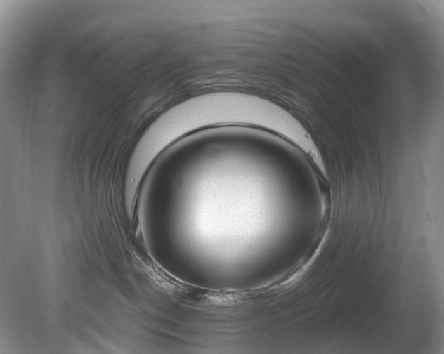 X0000078280190200611101143