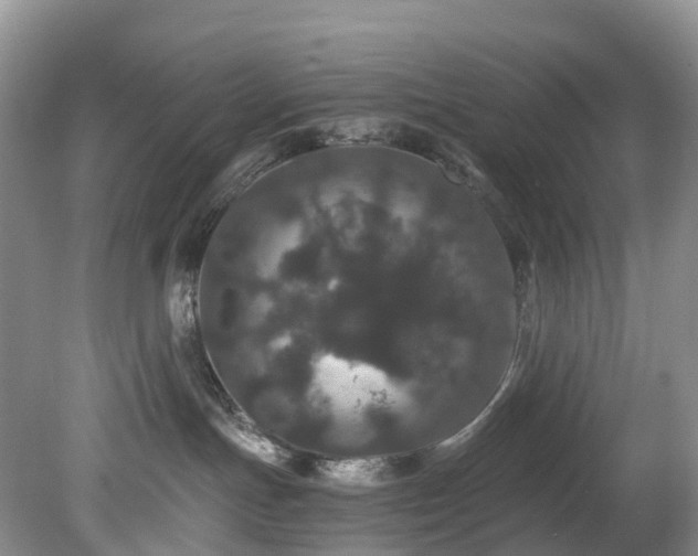 X0000078280191200611101143