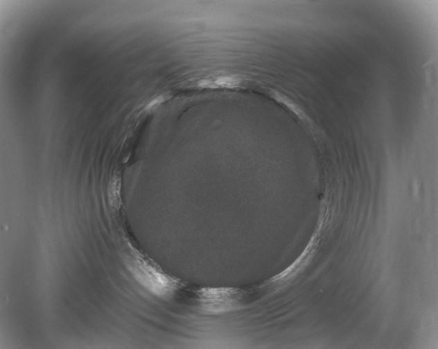 X0000078280192200611101143